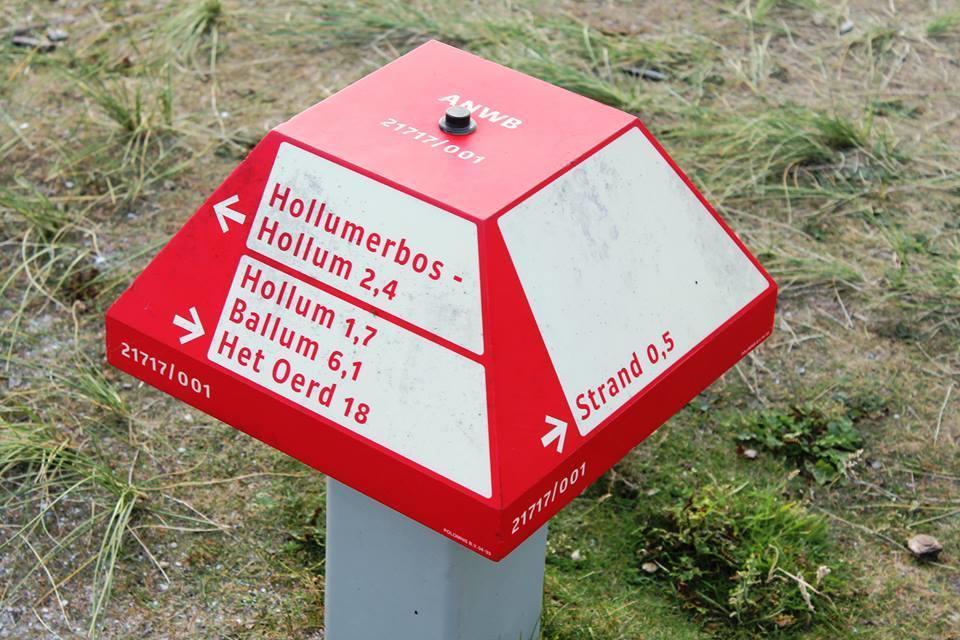 הולום Aphrodite Met Zonnig Terras, Eigen Keuken, Verwarmd Hotel-Zwembad, Nabij Dorp, Duinen En Strand מראה חיצוני תמונה
