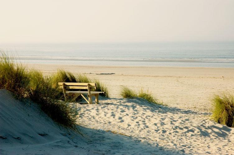 הולום Aphrodite Met Zonnig Terras, Eigen Keuken, Verwarmd Hotel-Zwembad, Nabij Dorp, Duinen En Strand מראה חיצוני תמונה