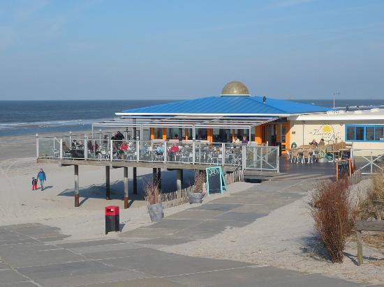 הולום Aphrodite Met Zonnig Terras, Eigen Keuken, Verwarmd Hotel-Zwembad, Nabij Dorp, Duinen En Strand מראה חיצוני תמונה
